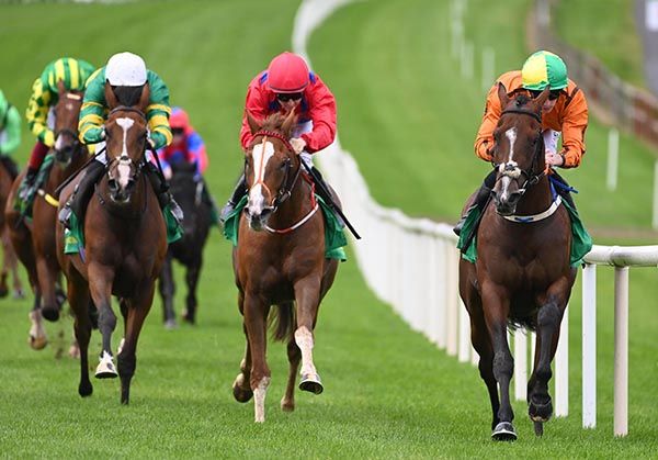 Just Jump and Joey Sheridan 