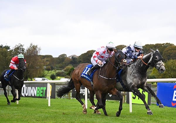 Mogwli and Megan Telford Kelly 