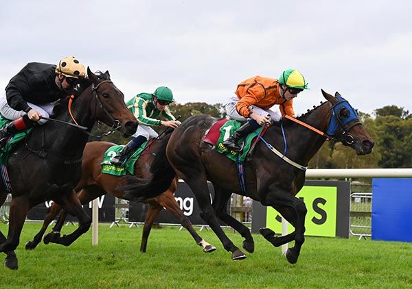 Nezeeh, with the blinkers on, hits the line first