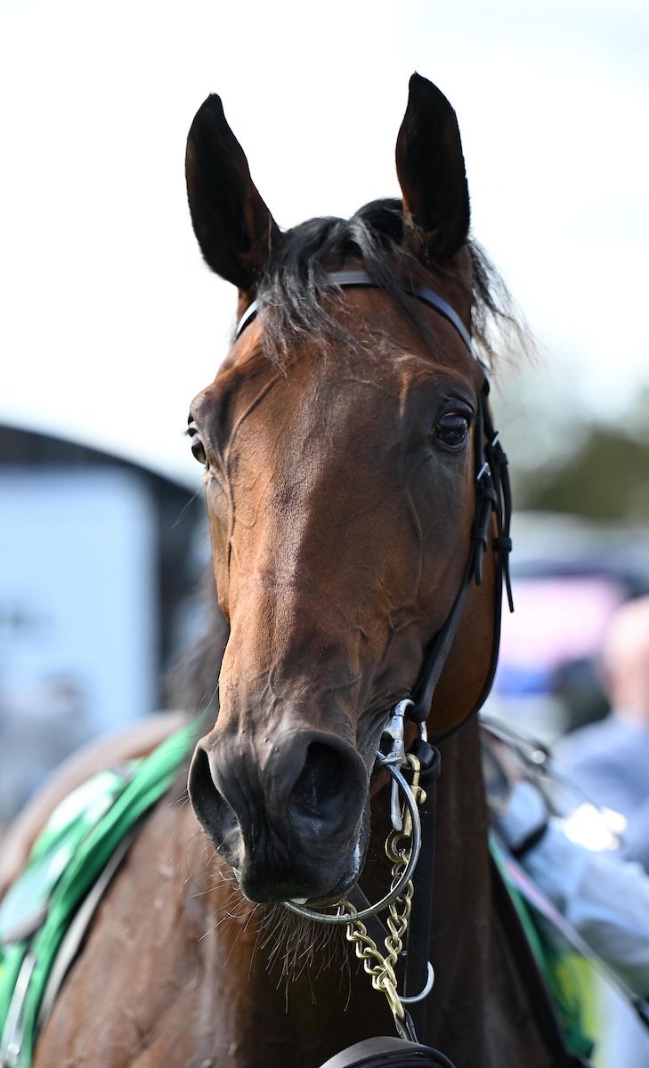 Listowel 22-September-2025Straight Up and Wayne Lordan win for owner Flaxman Stables & Coolmore and trainer Aidan O'Brien.Healy Racing