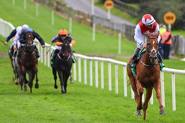 Lifting Sails and Shane Foley 