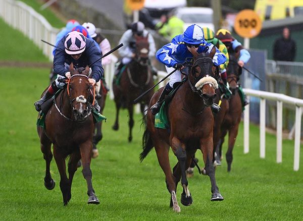Edergole's Angel, right, gets the better of Givehertilxmas