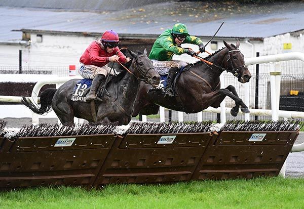 Sallap (right) jumps the second-last upsides Great Bird
