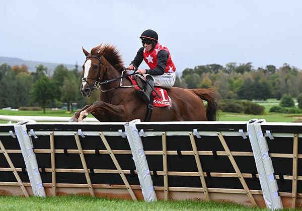 Royal Hollow and Cian Quirke 