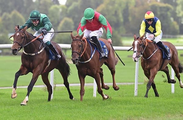 Bibe Mus and JJ Slevin.