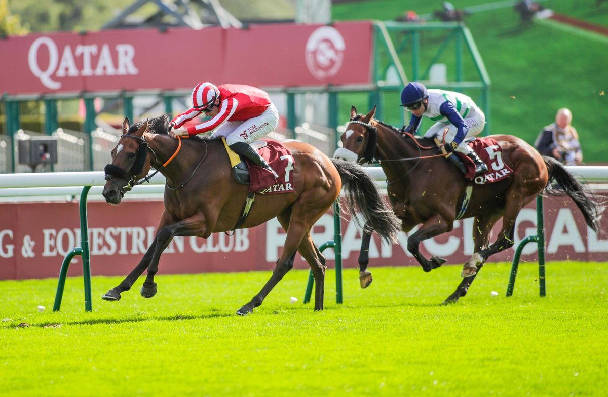 Caballo De Mar seen winning the Prix du Cadran