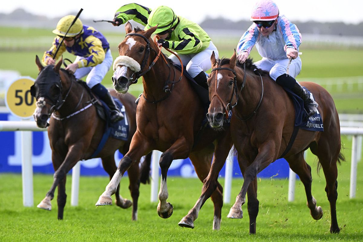 Highbury See See and Sam Coen