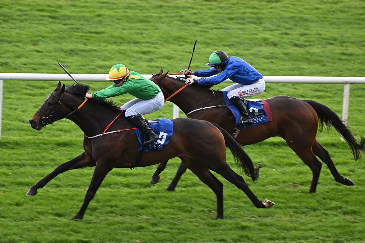 Smoke Them Out and Sam Coen 