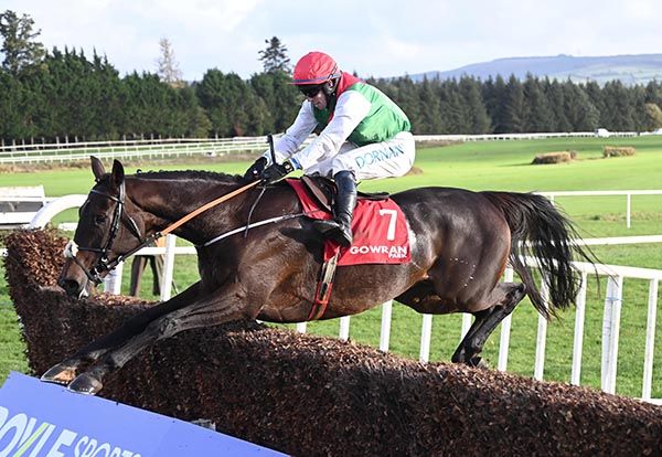 Taponthego and Darragh O'Keeffe