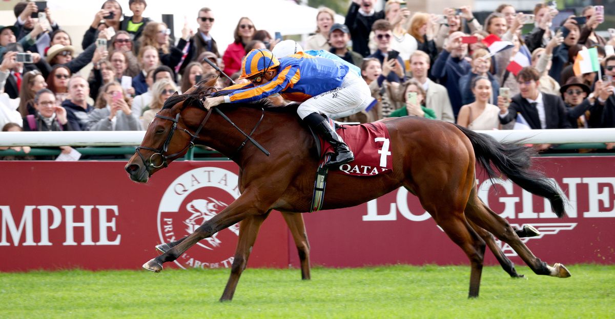 Diamond Necklace beaten at Deauville