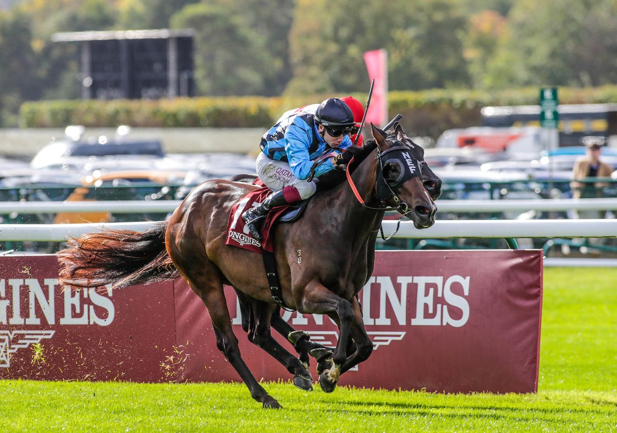 Asfoora won the Prix de l Abbaye de Longchamp yesterday 