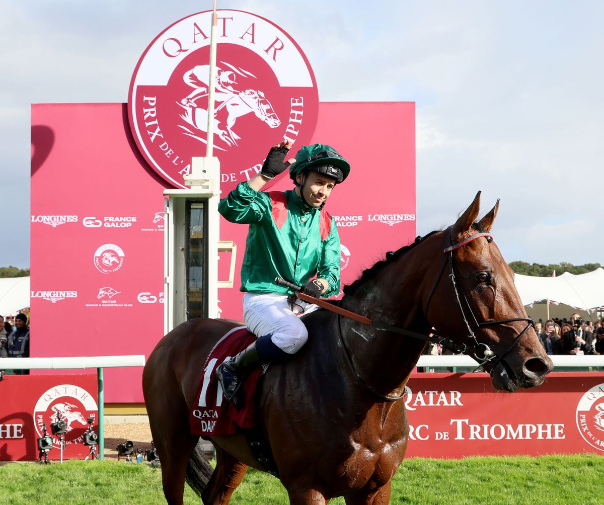 Daryz will stay in training as a four-year-old next season 