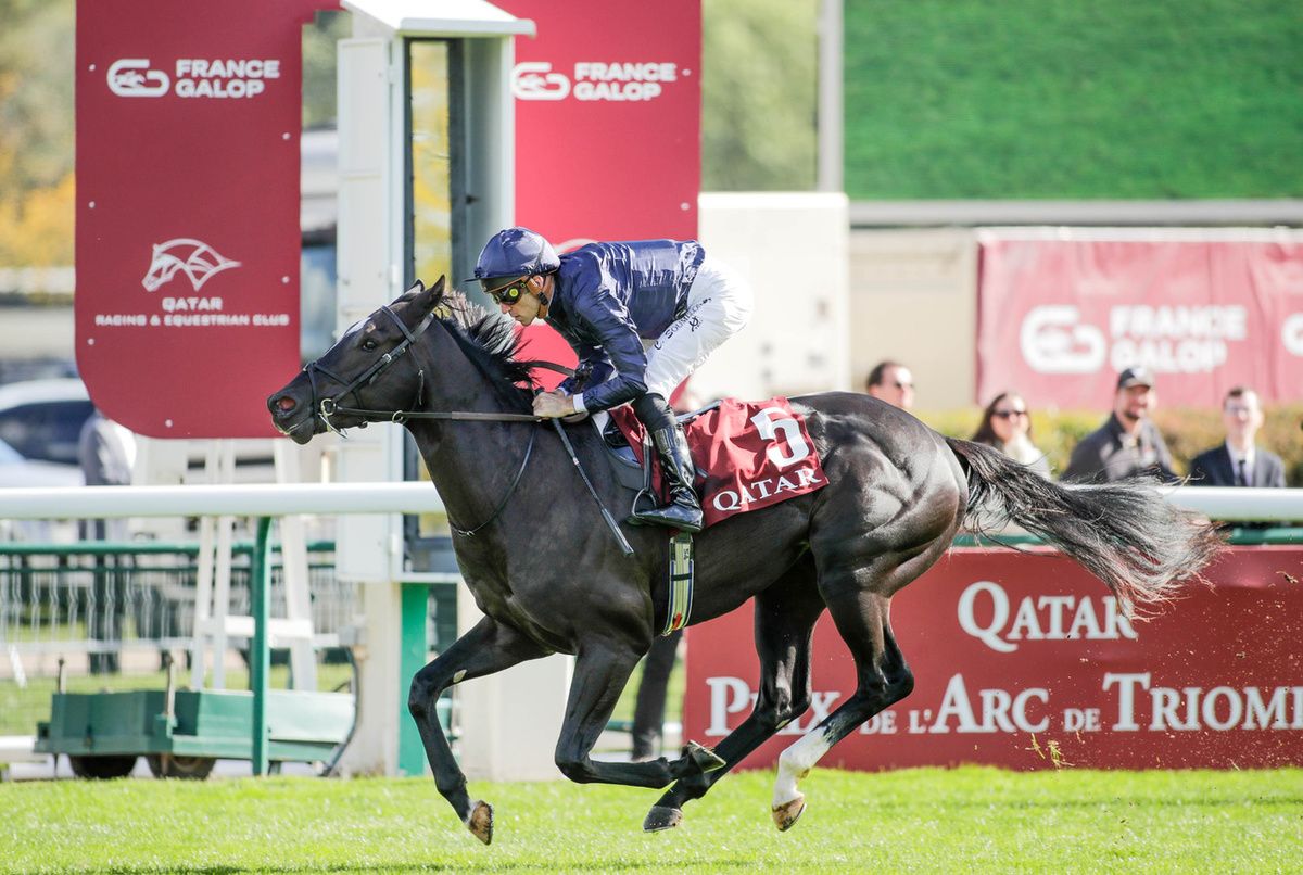 Puerto Rico and Christophe Soumillon winning at ParisLongchamp