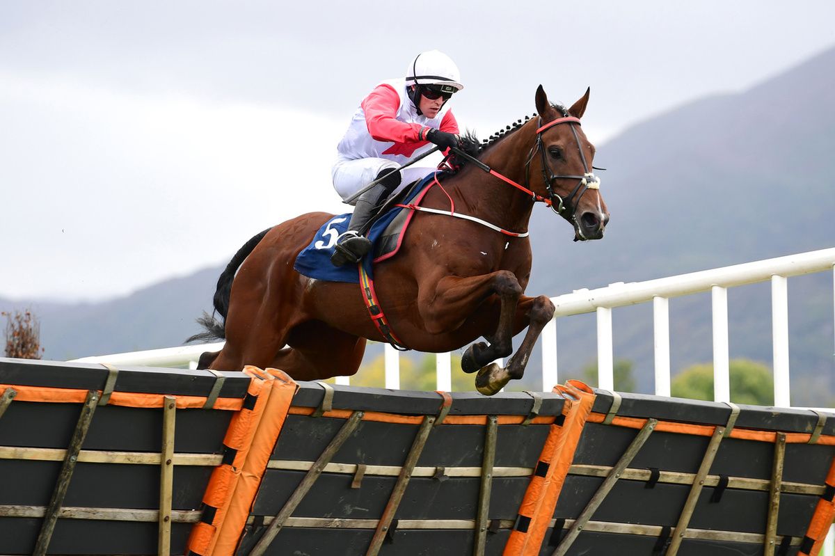 Killarney 5-10-25Wholelotofbusiness and Gary Noonan jump the last to win The Killarney Racegoers Rated Novice Hurdle for trainer Eoin McCarthy.Healy Racing Photo