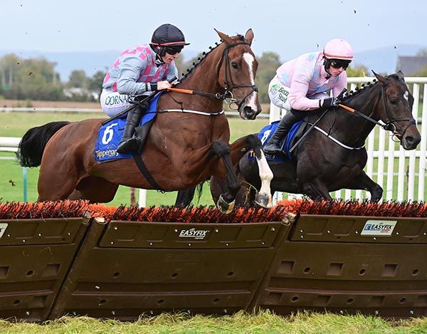 Getaway Beo (nearest) 