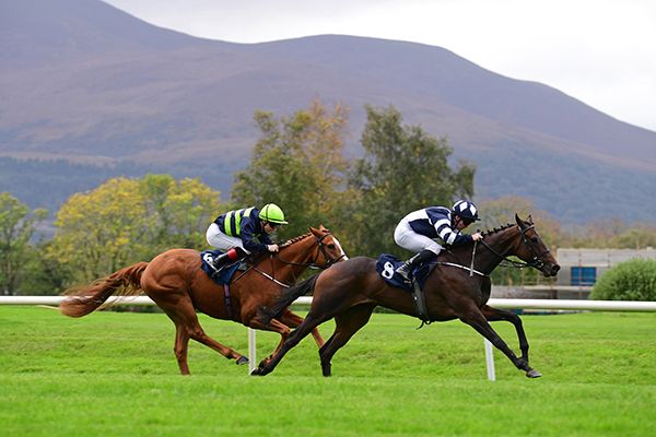 Lady Lilac and Gary Carroll (leading)