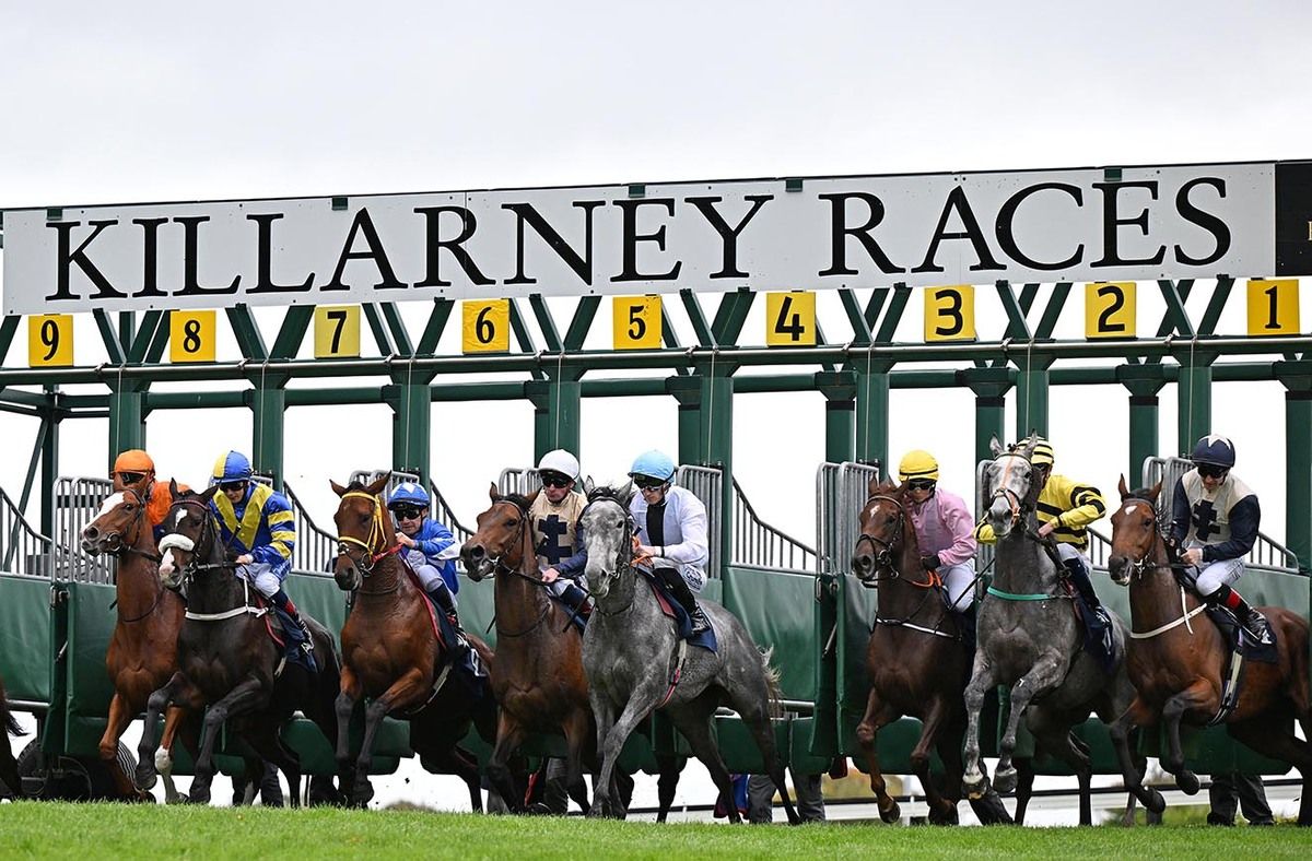 Spanish Temptress and Billy Lee break from stall 4 