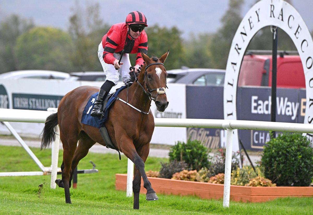 Killarney Racecourse