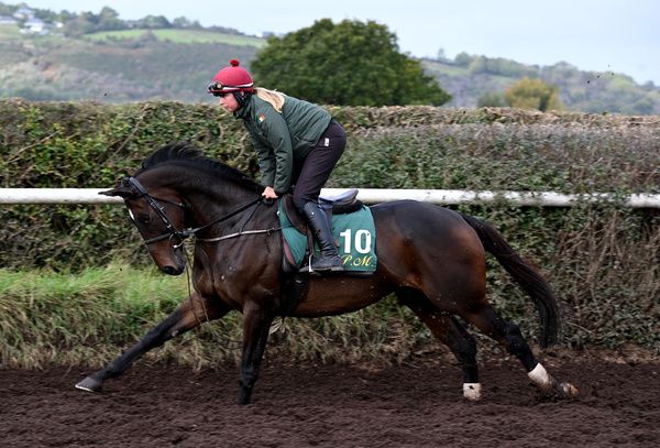 National Hunt Season Launch at Willie Mullins Closutton Stables 8-10-25  Bambino Fever & Jody Townend(Photo HEALY RACING)
