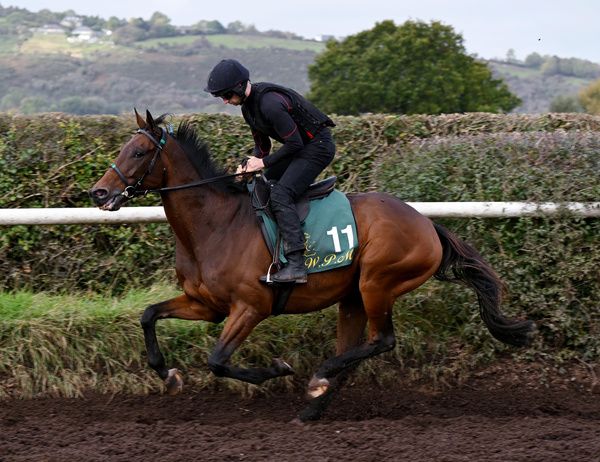 Gaelic Warrior and Patrick Mullins 