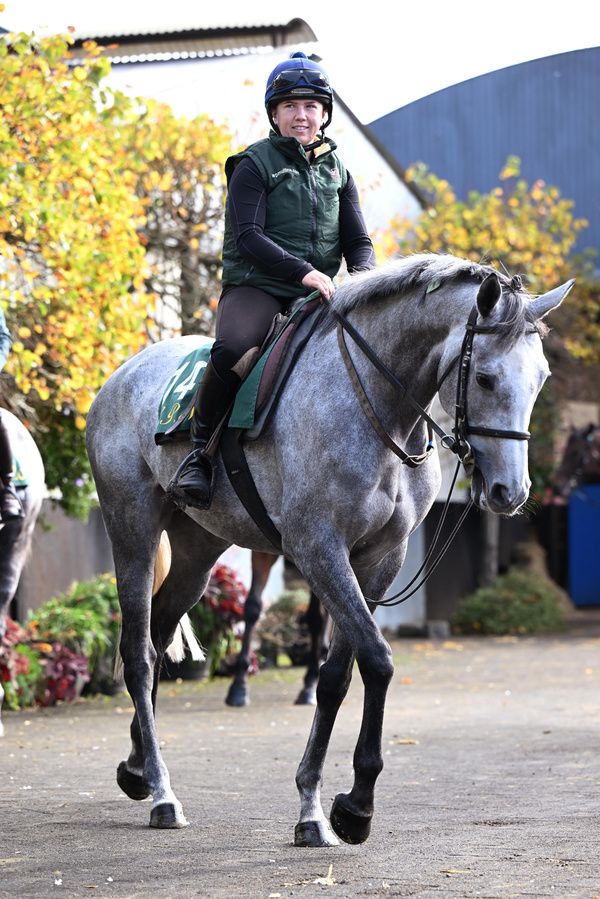 Lossiemouth will be in action at Punchestown tomorrow 