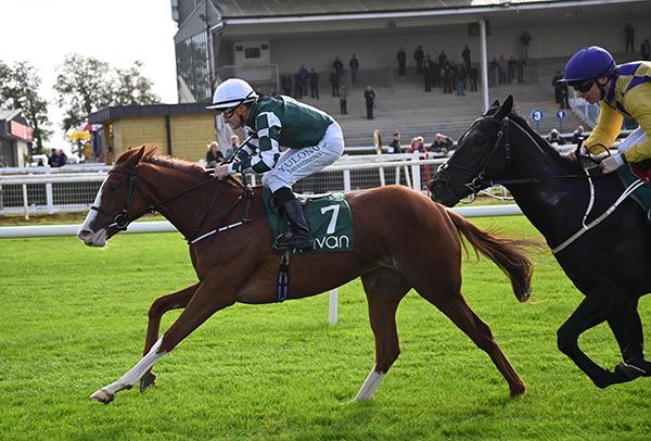 Kindergarten and Shane Foley 