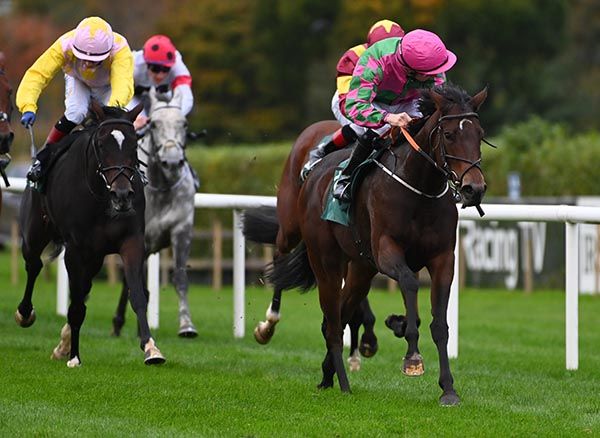 Boyne Valley and Wesley Joyce