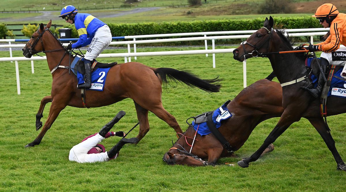 Galway 7-10-25  Sporting Glance & Eoin Staples part company at the first flight in thw Ryans Cleaning Novice HAndicap Hurdle both were OK after their fall(Photo HEALY RACING)