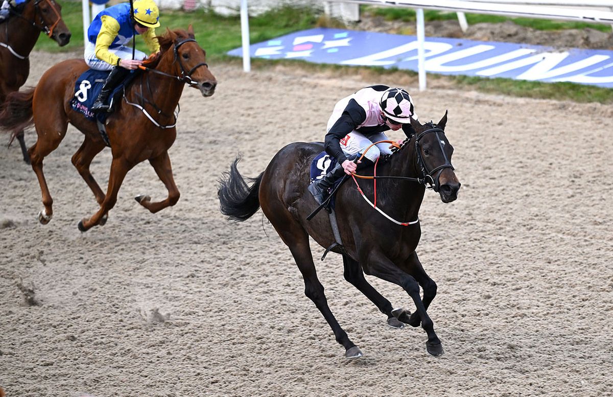 All The Girls and James Ryan