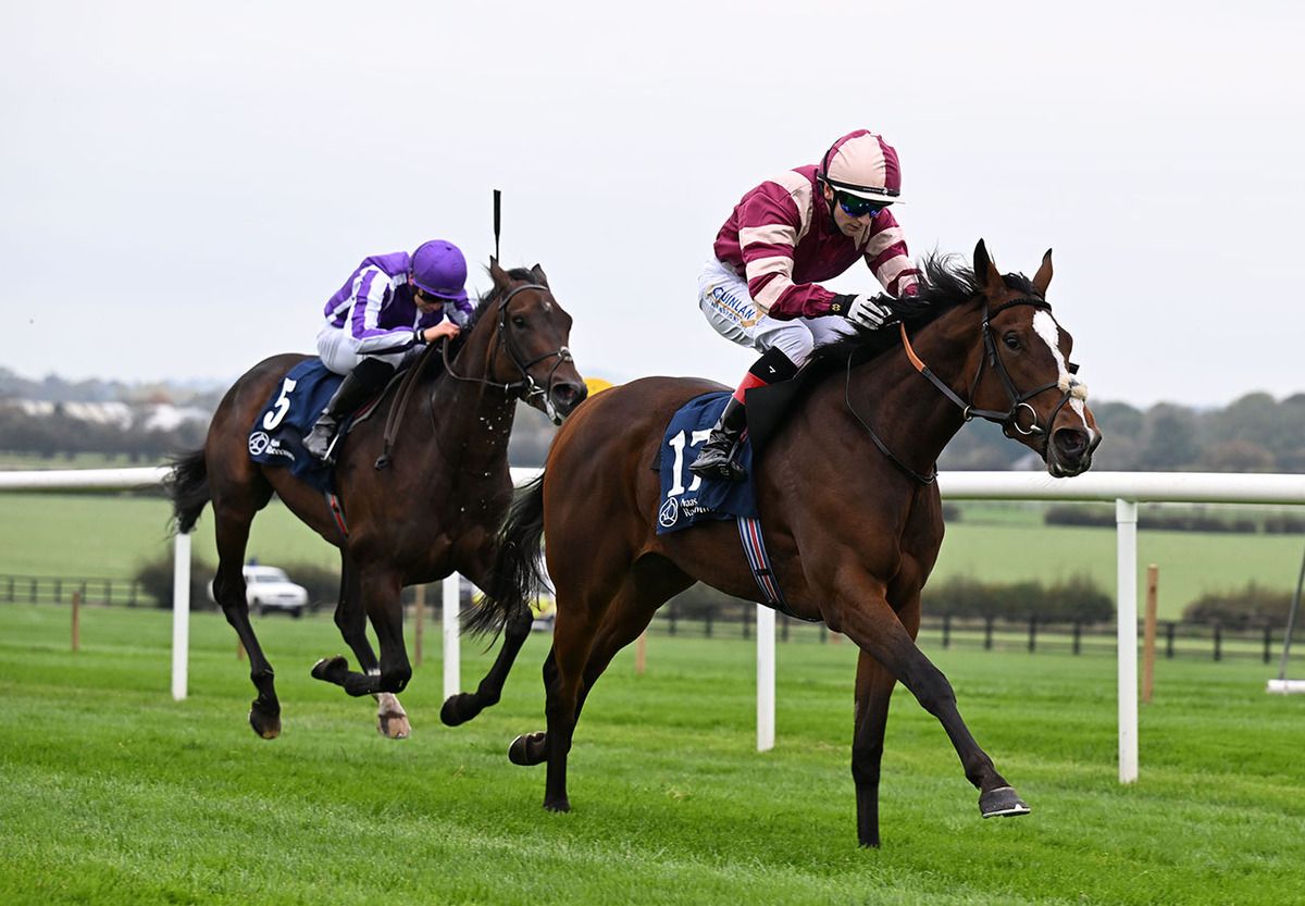 Unwavering Monarch beats Master Bernstein 