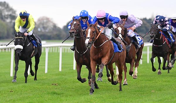 Hickeys Hill, pink cap, delivering at Fairyhouse