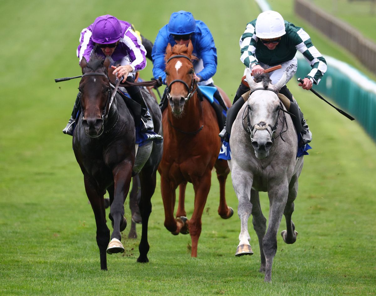 Gewan and James Doyle winning from Gstaad at Newmarket in October