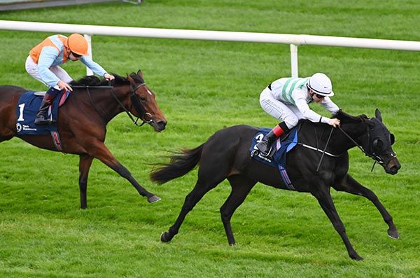 Fleur De Chine beats Beset 