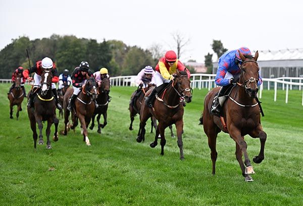 Famous Figure leads them home