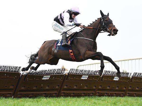 Katakana and Darragh O Keeffe 