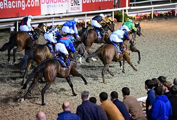 Wellwhatshappenin (No.5) and Jamie Powell 