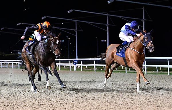 Daamberdiplomat (right) and Ben Coen