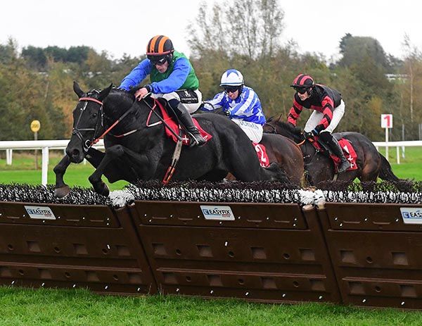 Shadow Paddy leads over the last  