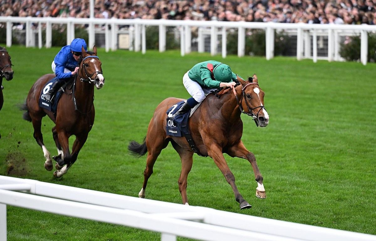 Calandagan beats Ombudsman at Ascot 