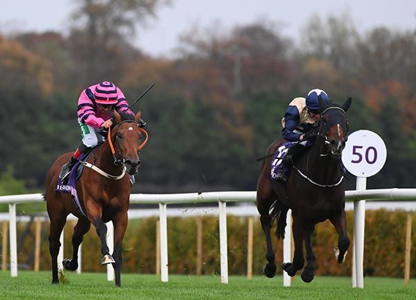 Unauthorized and Rory Cleary (left) 