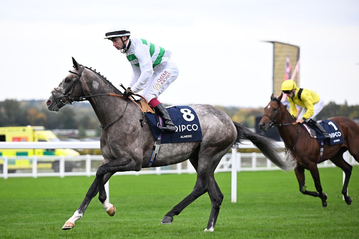 The grey Almeric and Oisin Murphy 