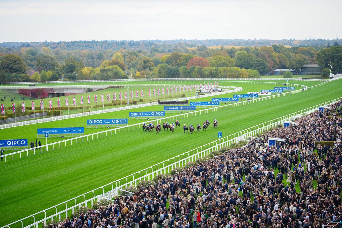 Ascot 