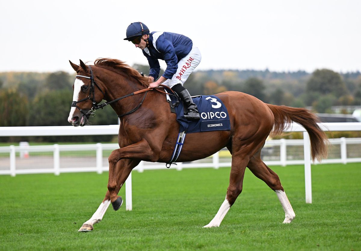 Economics and Tom Marquand finished down the field in Champion Stakes 