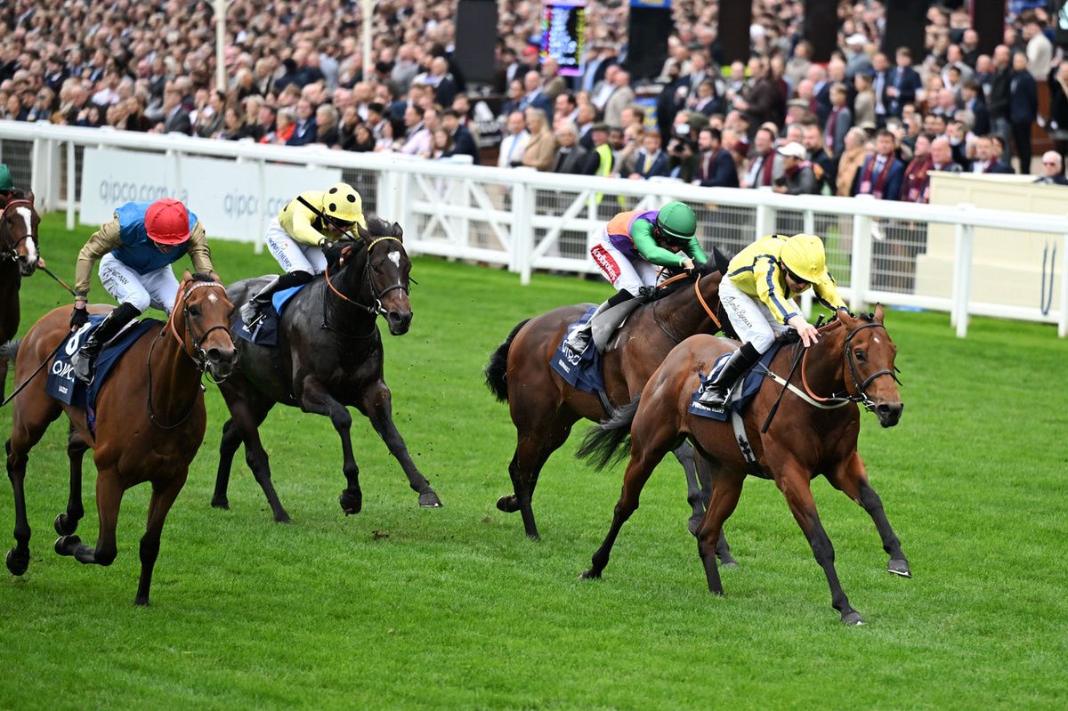 Powerful Glory (right)