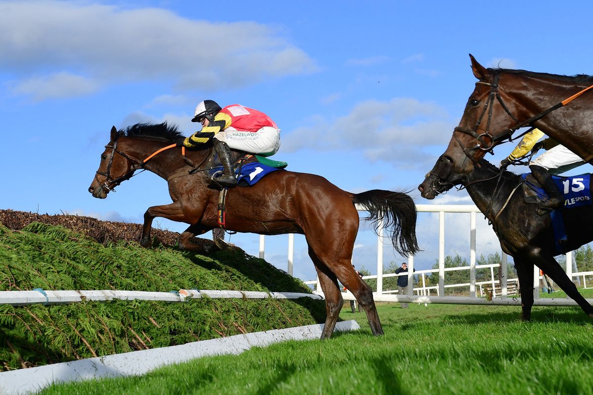 French Dynamite and Patrick O'Brien jump the last in the Munster National at Limerick last October