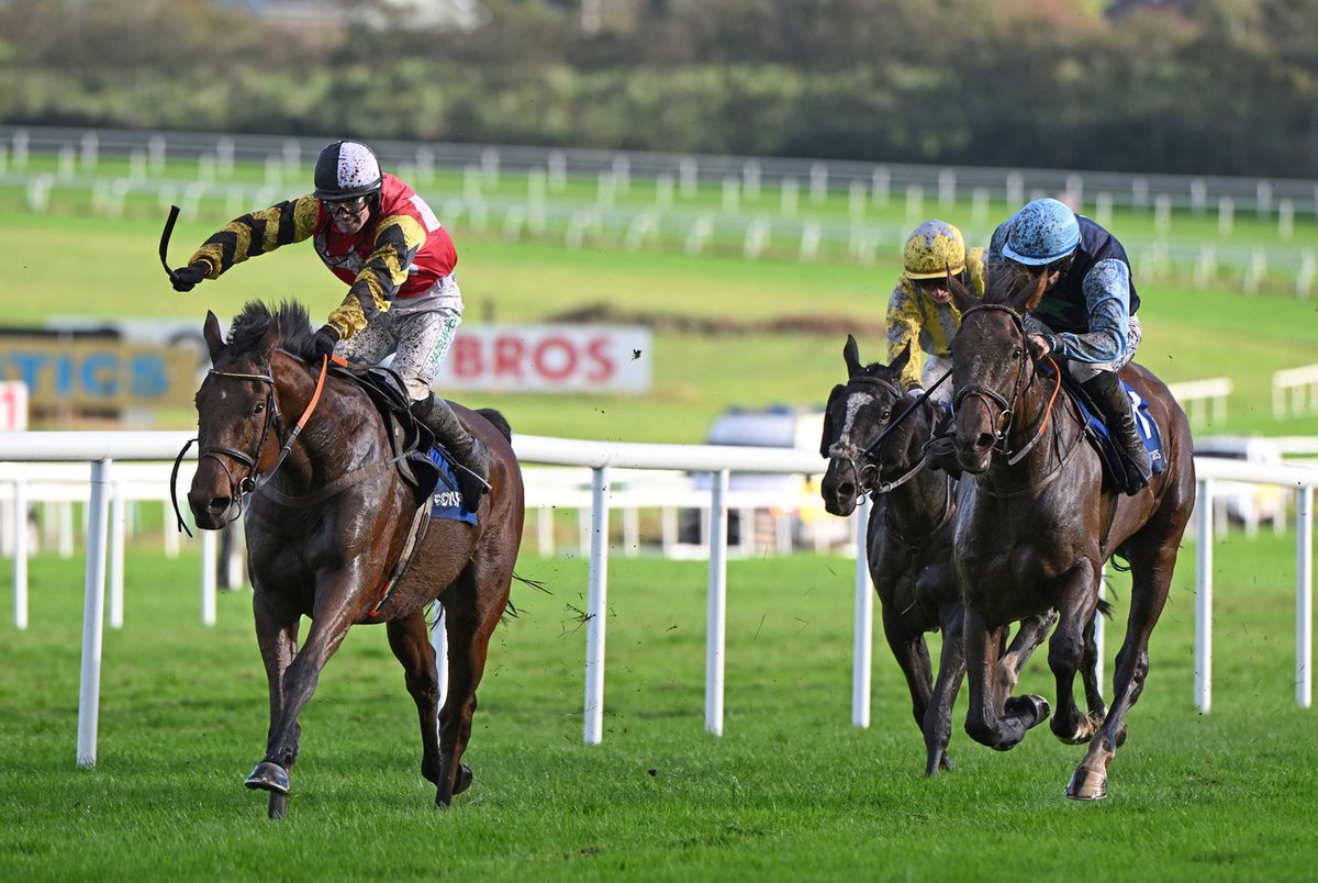 Weveallbeencaught chasing home French Dynamite in Limerick
