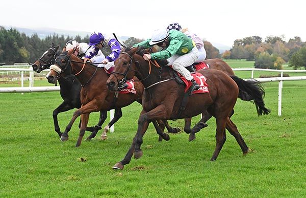 Ribee swoops down the outer