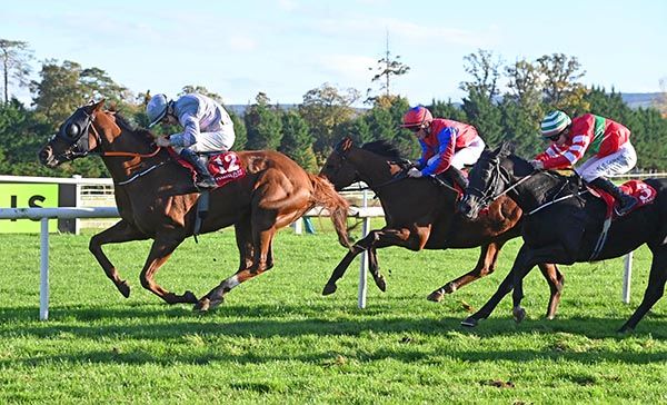 Blackjack Hills and Robbie Colgan approach the winning post