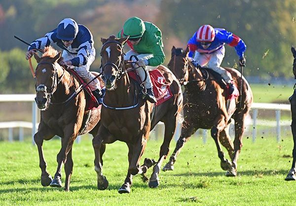 Candleford Green, near side, holds Rocket Robyn