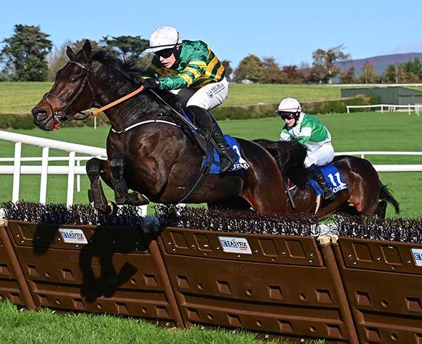 No Big Deal and Josh Williamson in winning form